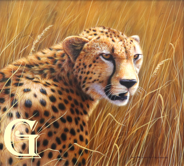 GRIMES HOUSE GALLERY